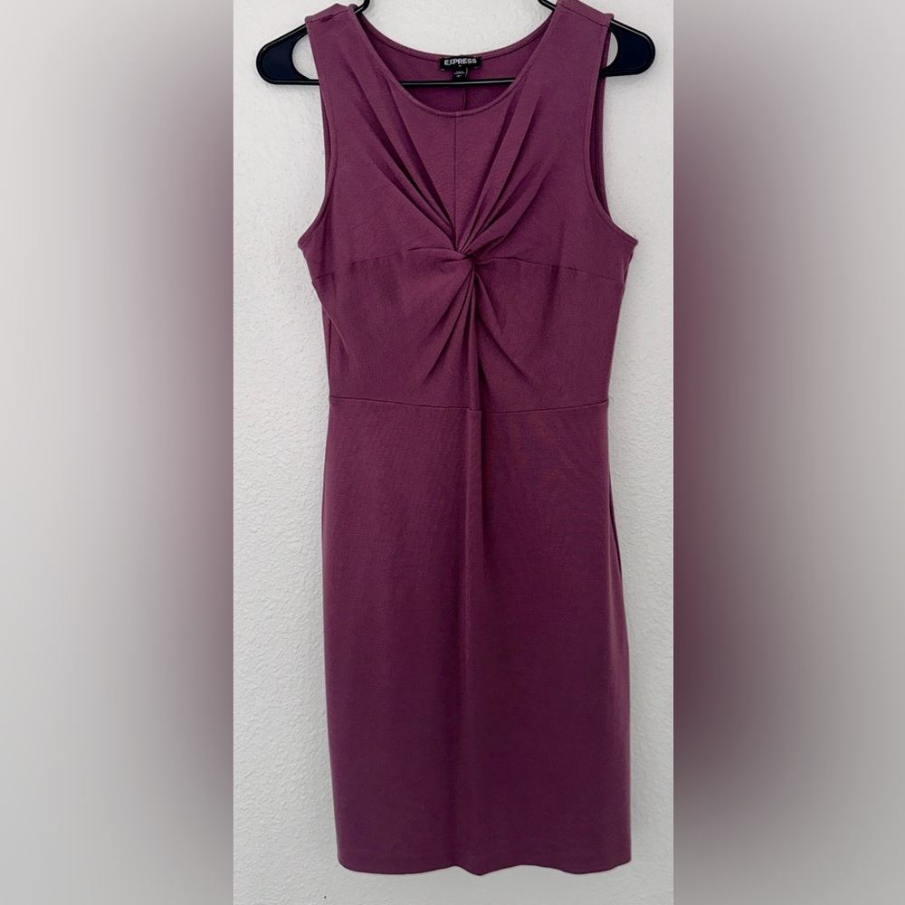 Express Bodycon Dress